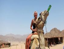 Herbata Camel Ride & Beduin na pustyni Sharm El Sheikhn